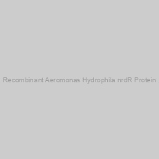 Image of Recombinant Aeromonas Hydrophila nrdR Protein